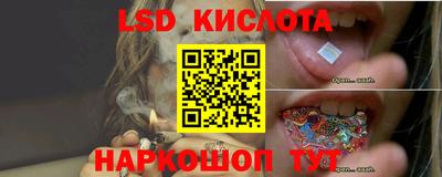 индика Пугачёв