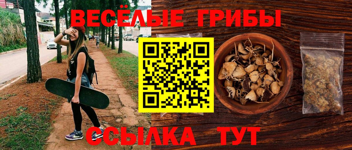 наркота  Псилоцибиновые грибы Cubensis  Вход с VPN  Благовещенск 